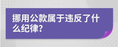 挪用公款属于违反了什么纪律？