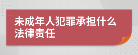 未成年人犯罪承担什么法律责任