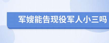 军嫂能告现役军人小三吗