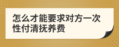 怎么才能要求对方一次性付清抚养费