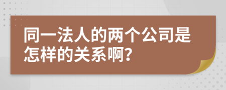 同一法人的两个公司是怎样的关系啊？