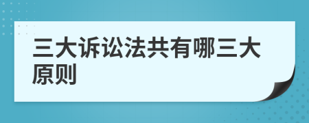 三大诉讼法共有哪三大原则