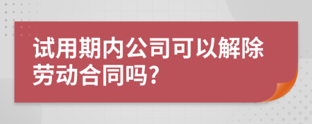 试用期内公司可以解除劳动合同吗?