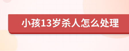 小孩13岁杀人怎么处理