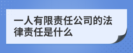 一人有限责任公司的法律责任是什么