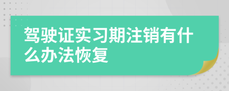 驾驶证实习期注销有什么办法恢复