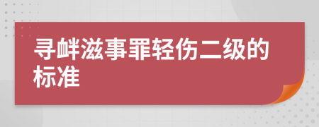 寻衅滋事罪轻伤二级的标准