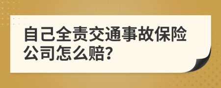 自己全责交通事故保险公司怎么赔？