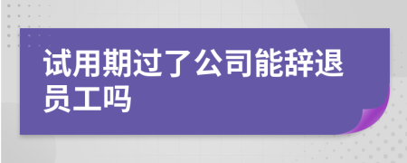 试用期过了公司能辞退员工吗