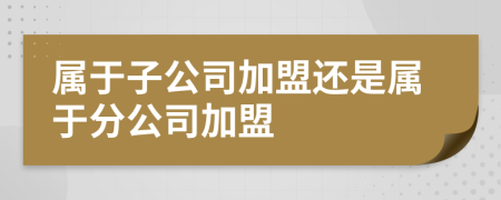 属于子公司加盟还是属于分公司加盟