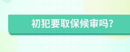 初犯要取保候审吗？