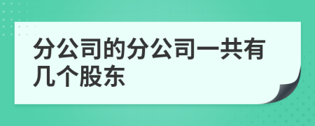 分公司的分公司一共有几个股东