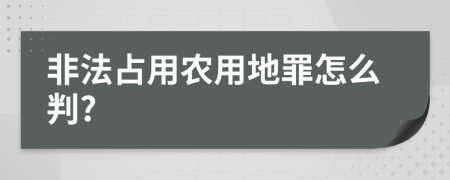 非法占用农用地罪怎么判?