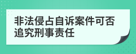 非法侵占自诉案件可否追究刑事责任