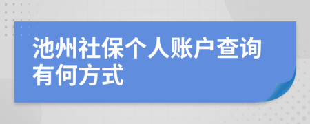 池州社保个人账户查询有何方式