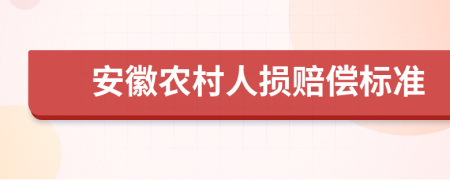 安徽农村人损赔偿标准