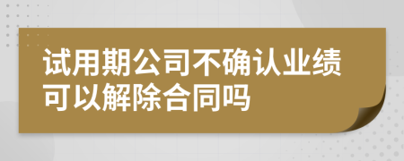 试用期公司不确认业绩可以解除合同吗