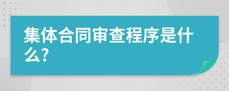 集体合同审查程序是什么?