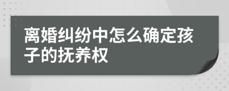 离婚纠纷中怎么确定孩子的抚养权