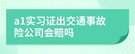 a1实习证出交通事故险公司会赔吗