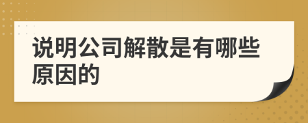 说明公司解散是有哪些原因的