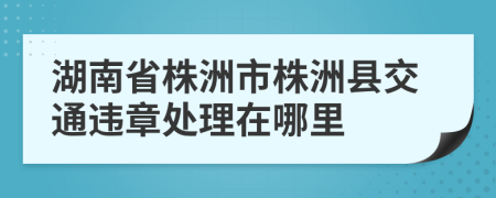 湖南省株洲市株洲县交通违章处理在哪里