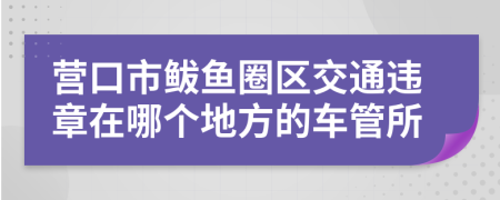 营口市鲅鱼圈区交通违章在哪个地方的车管所