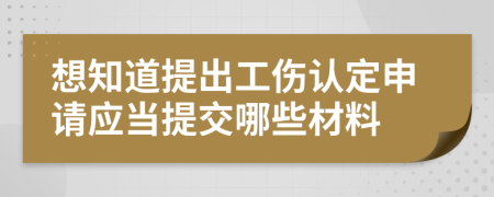 想知道提出工伤认定申请应当提交哪些材料