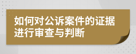 如何对公诉案件的证据进行审查与判断