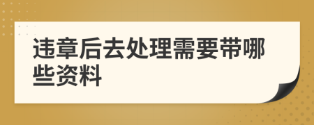 违章后去处理需要带哪些资料