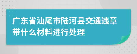 广东省汕尾市陆河县交通违章带什么材料进行处理