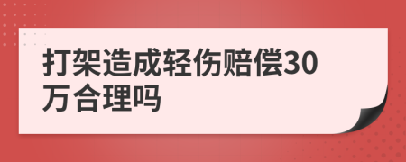 打架造成轻伤赔偿30万合理吗