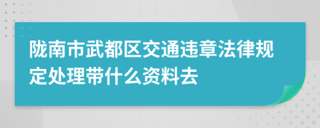 陇南市武都区交通违章法律规定处理带什么资料去