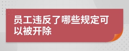 员工违反了哪些规定可以被开除