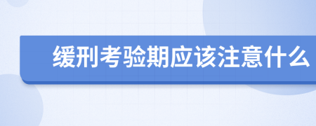 缓刑考验期应该注意什么