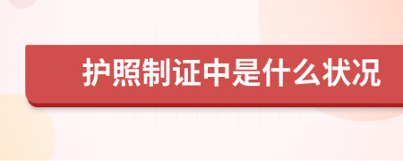 护照制证中是什么状况