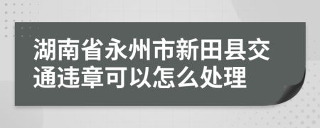 湖南省永州市新田县交通违章可以怎么处理