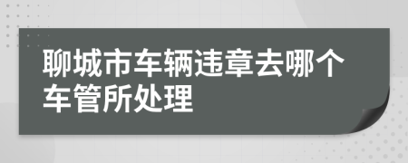 聊城市车辆违章去哪个车管所处理