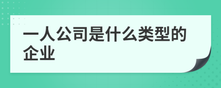 一人公司是什么类型的企业