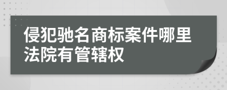侵犯驰名商标案件哪里法院有管辖权