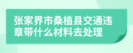 张家界市桑植县交通违章带什么材料去处理