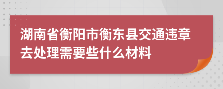 湖南省衡阳市衡东县交通违章去处理需要些什么材料