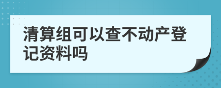 清算组可以查不动产登记资料吗