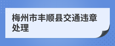 梅州市丰顺县交通违章处理