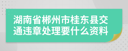 湖南省郴州市桂东县交通违章处理要什么资料