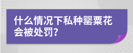 什么情况下私种罂粟花会被处罚？