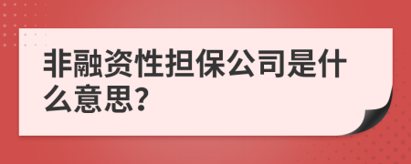 非融资性担保公司是什么意思？