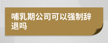 哺乳期公司可以强制辞退吗