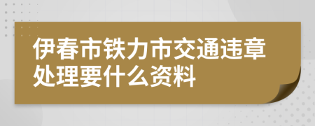 伊春市铁力市交通违章处理要什么资料