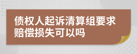 债权人起诉清算组要求赔偿损失可以吗